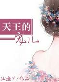 天王的专属恋人独宠宝贝全文免费