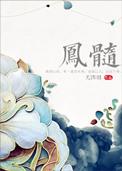 凤髓女是什么意思