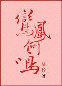 鸾凤鸣by