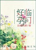 好孕临门高清观看完整