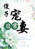 傻子的宠妻日常txt