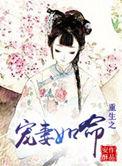 重生之宠妻如命 机关算尽