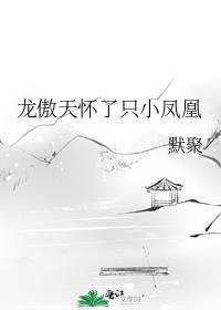 龙傲天怀了只小凤凰 默聚