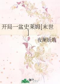 开局一只史莱姆技能图鉴