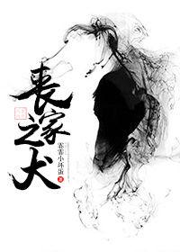 丧家之犬什么意思