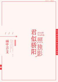 君似骄阳歌曲