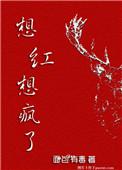 想红想疯了讲的什么