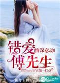 错爱傅先生免费阅读