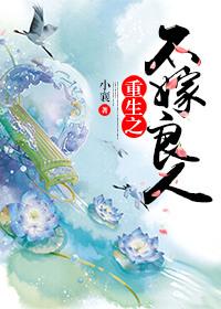 重生之不嫁良人txt