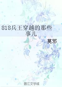 818兵王穿越的那些事儿讲的什么
