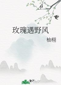 玫瑰遇野风柚栩笔趣阁