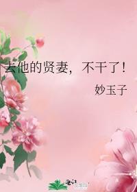 去他的贤妻不干了