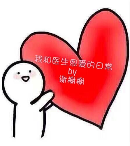 我医生恩爱的日常讲的什么