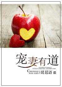 宠妻有道2五枂免费