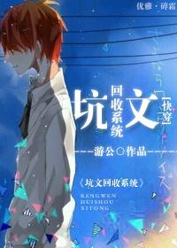 坑文回收系统 游公
