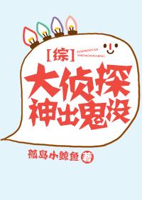 综大侦探神出鬼没123言情文学创作网