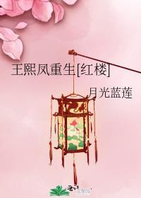 重生王熙凤进宫