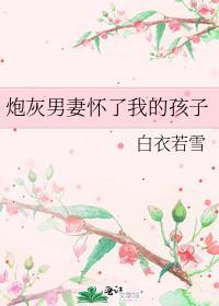 炮灰男妻怀了我的孩子by白衣若雪完整版