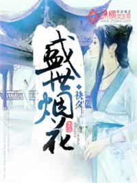 盛世烟花这首歌表达什么