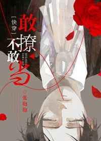 敢撩不敢当快穿番外