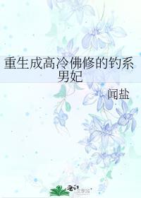 重生成高冷佛修的钓系男妃讲的什么