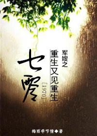 七零军嫂重生又见重生全文免费阅读