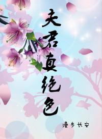 绝色夫君有九个结局