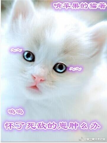 怀了死敌的崽肿么办全文免费阅读