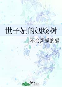 世子妃的作品集