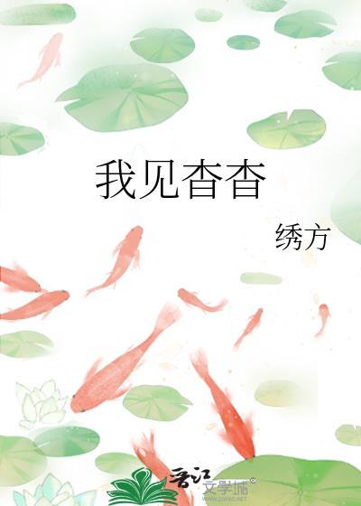 溪山美哉翻译