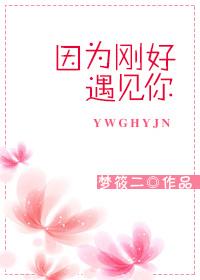 因为刚好遇见你电视剧演员表