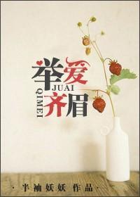 举爱齐眉的意呃举什么意思