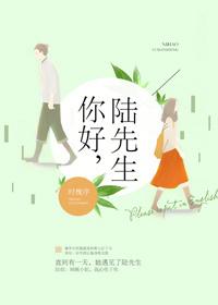 你好陆先生