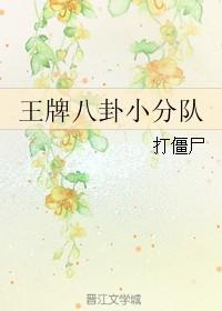 王牌小队视频