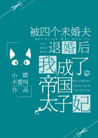 被4个未婚夫甩了以后我成了太子妃