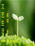 增加乐趣什么意思