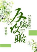 反骗攻略免费阅读