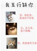 我五行缺你免费阅读