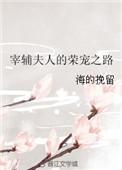 宰辅夫人的荣宠之路百度百科