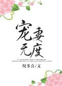 快穿宠妻无度