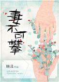 妻不可攀映漾全文阅读