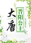 大唐晋阳公主讲什么