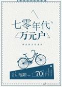 七零年代万元户无错版