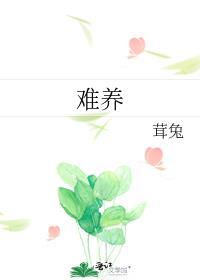 难养电视剧