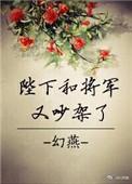 陛下和将军又吵架了讲了什么