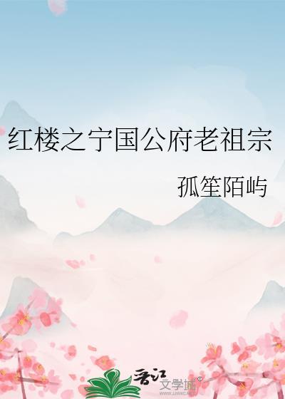 穿越红楼宁国夫人