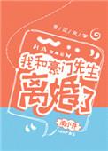 我和豪门先生离婚了txt