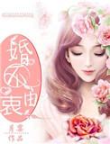 婚不由已免费阅读全文