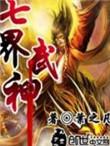 七界武神的境界