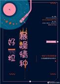 好一粒暴躁情种大结局
